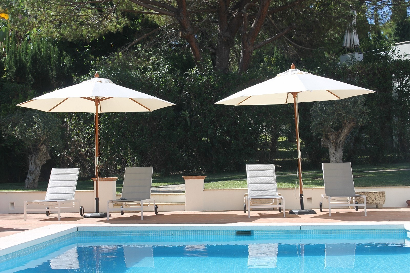 Basseng Galleribilde