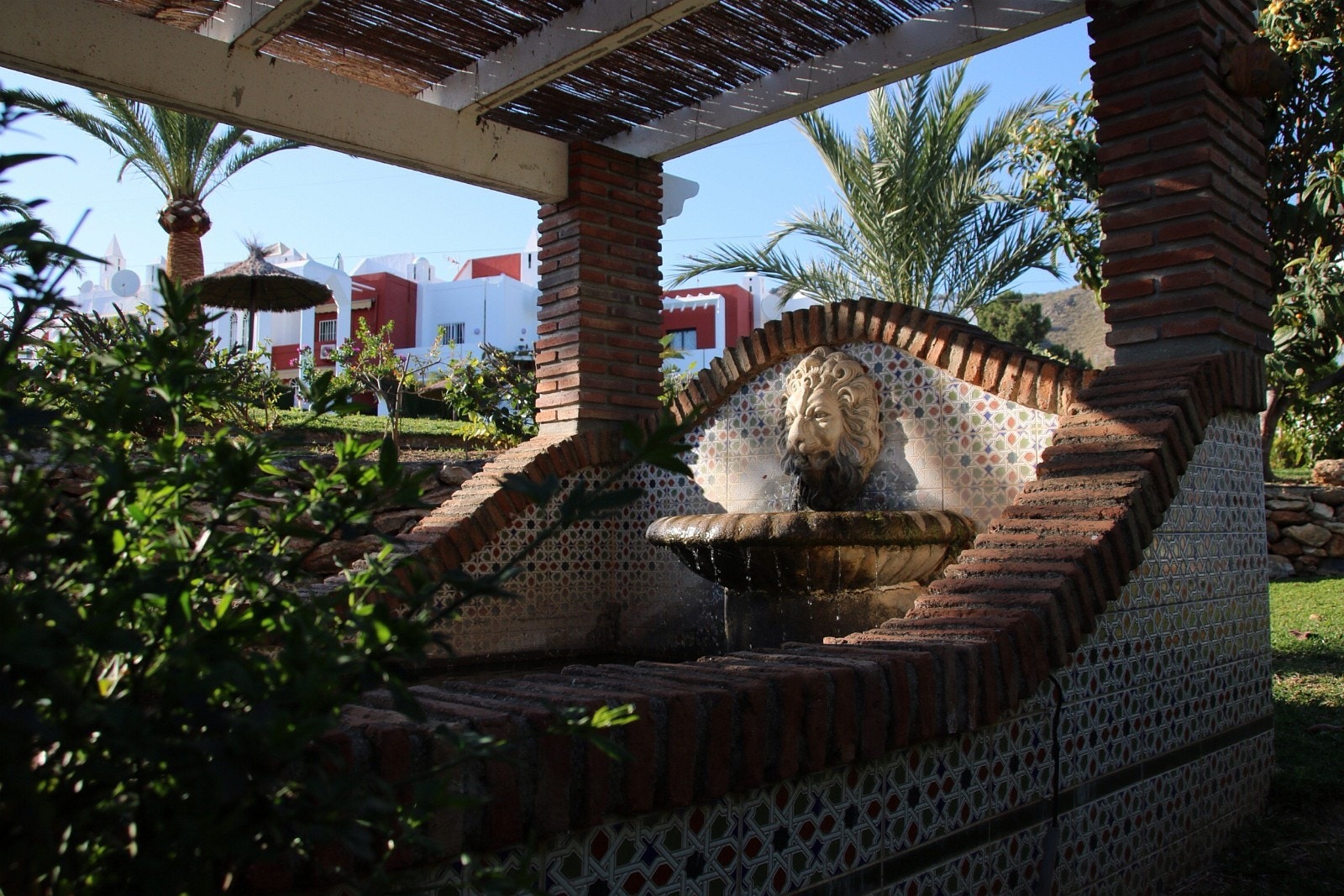 Stemningsfull fiskedam i urbanisasjonen Galleribilde