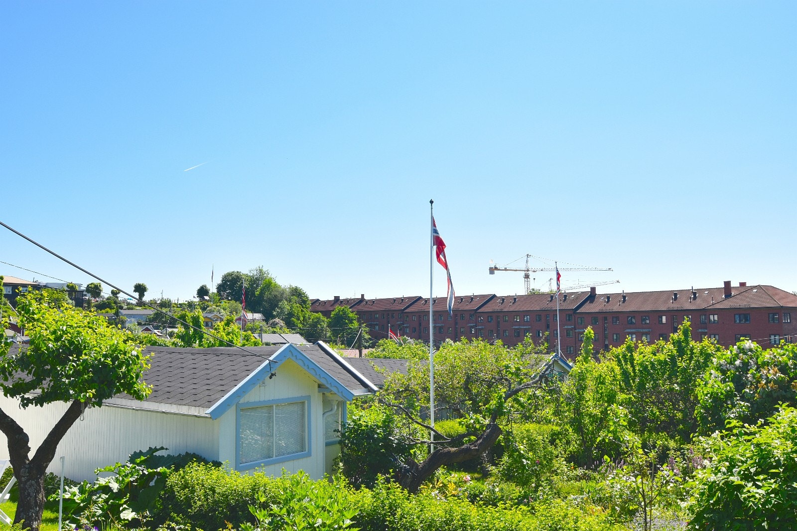 Kolonihage som nærmeste nabo Galleribilde