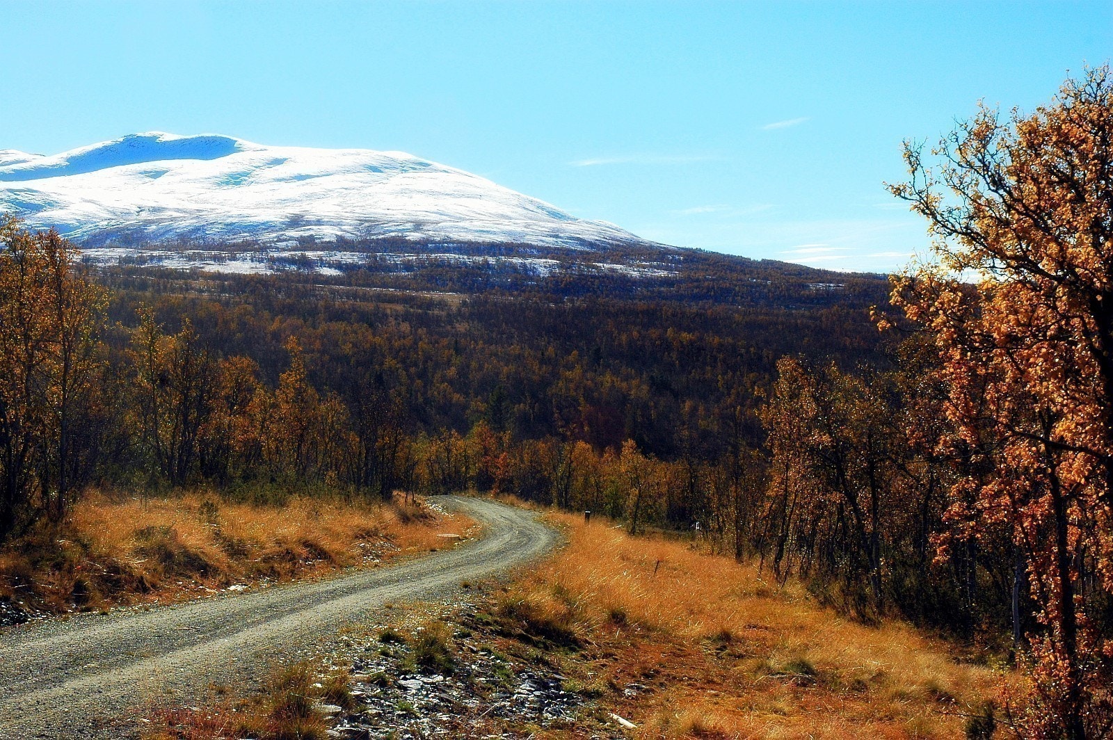 Haugastølen, Gilafjellet, (Syd) Galleribilde