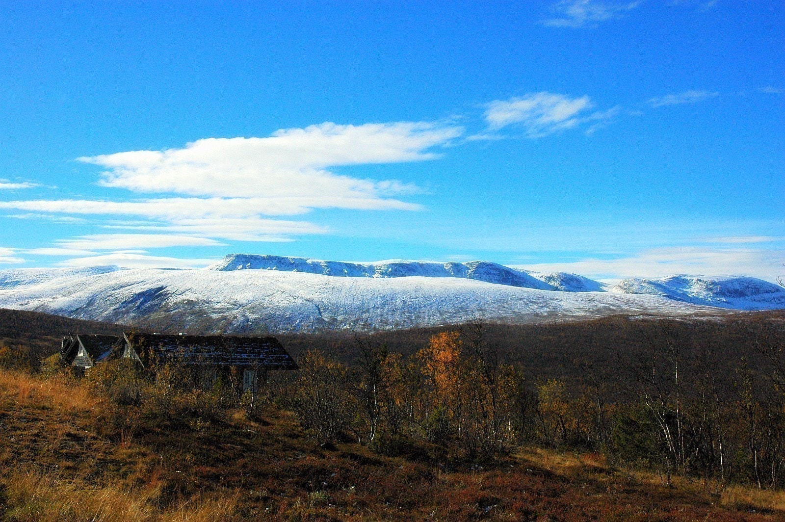 Utsikt sydover Galleribilde