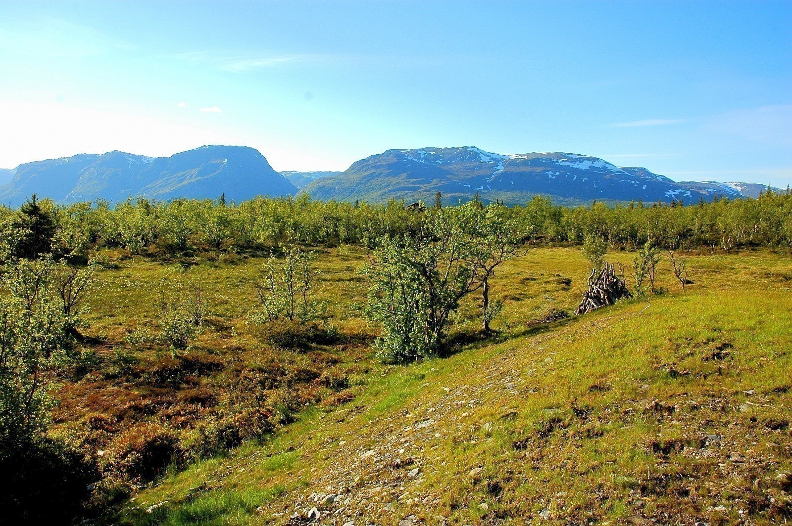 Utsikt Vennisfjellet (nord) Galleribilde