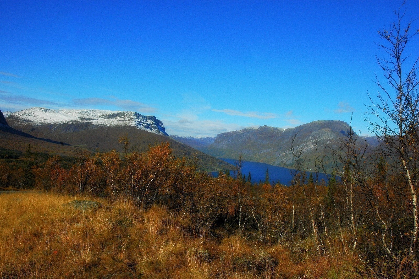 utsikt vestover Galleribilde