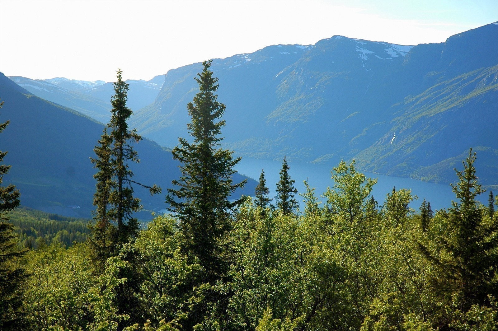 Vangsmjøsa, Skudshorn (Nordvest) Galleribilde
