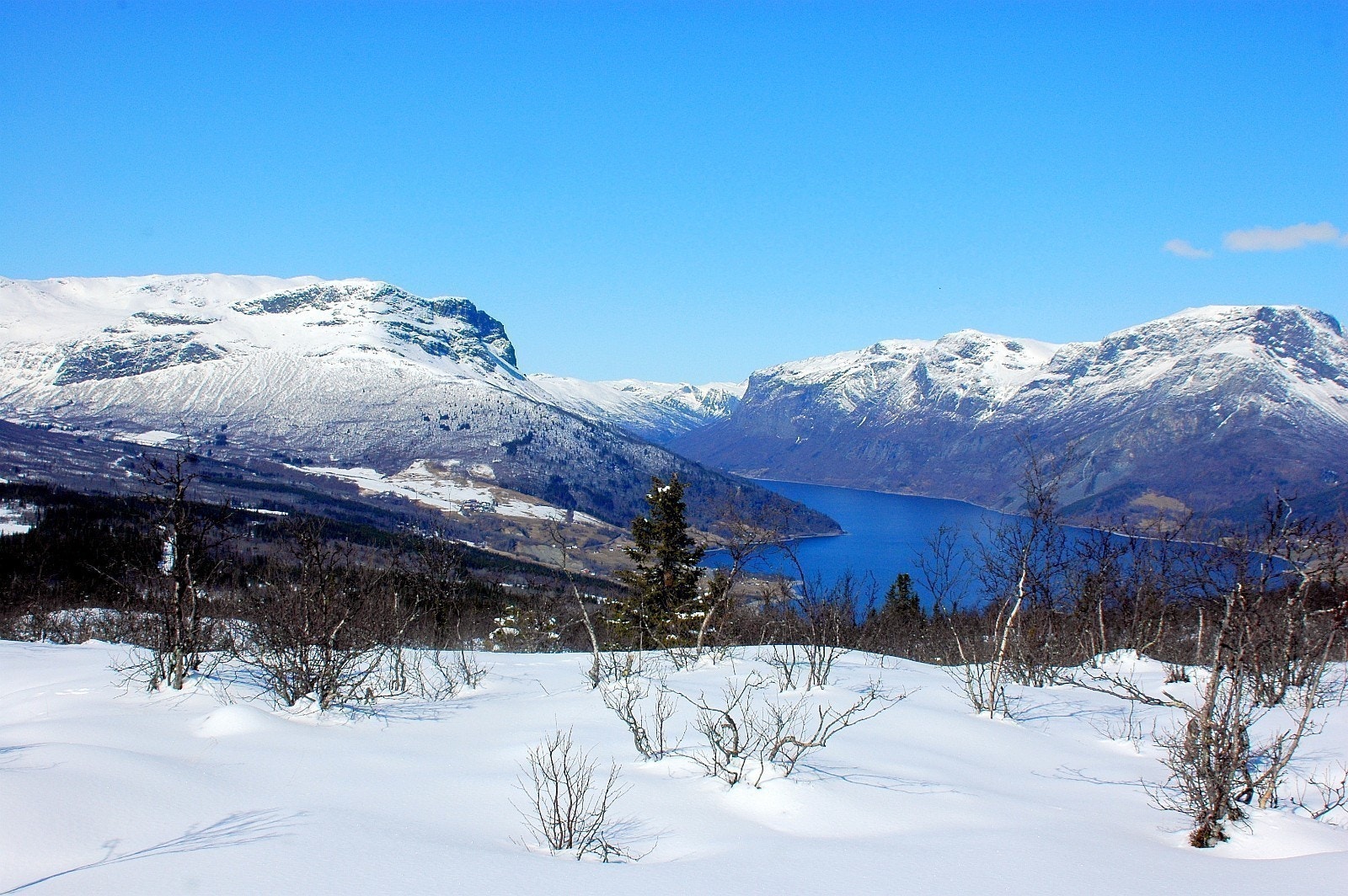 Utsikt Bergsfjellet og Vangsmjøsa (vest) Galleribilde