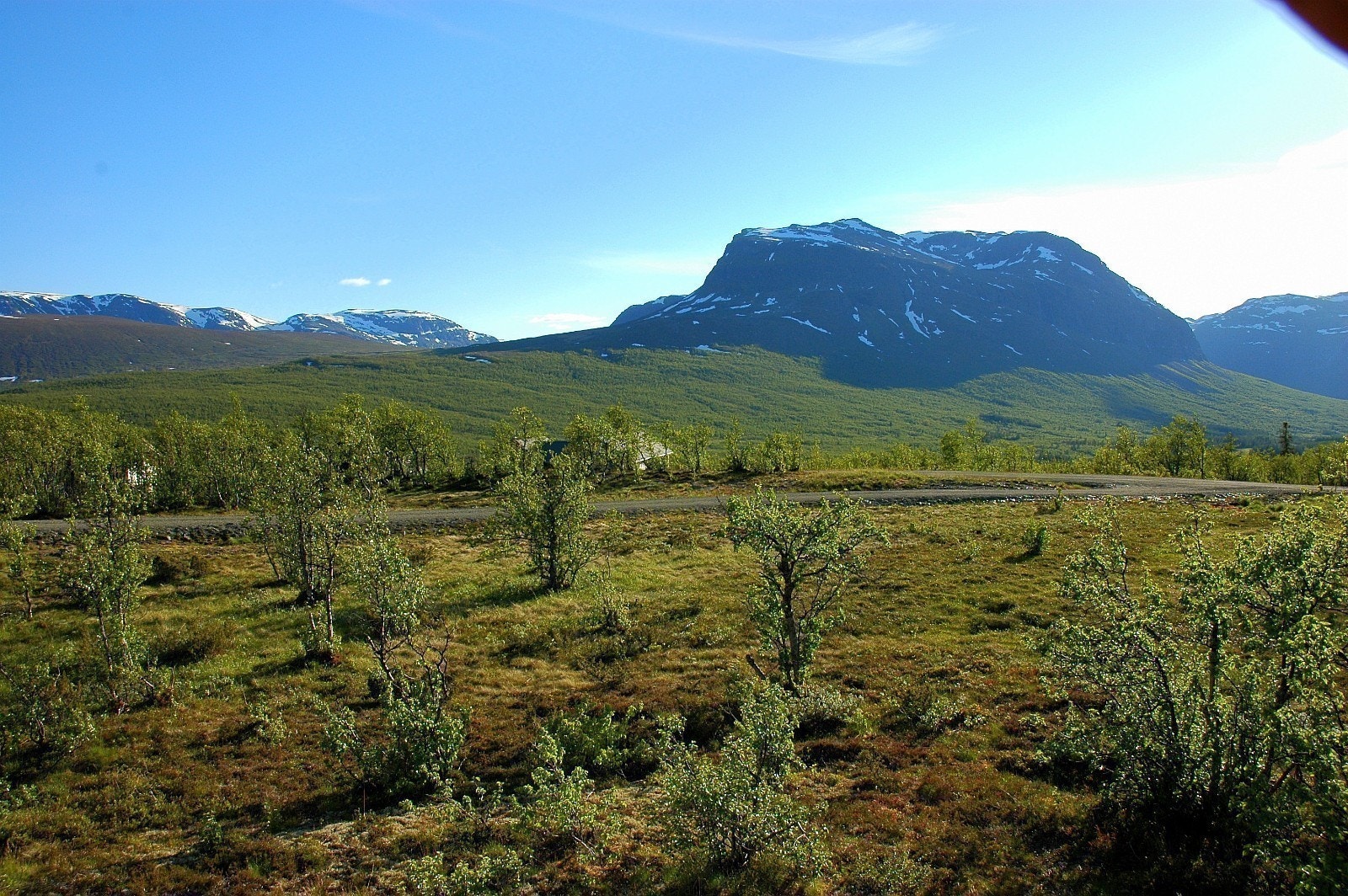 Grindafjellet Galleribilde