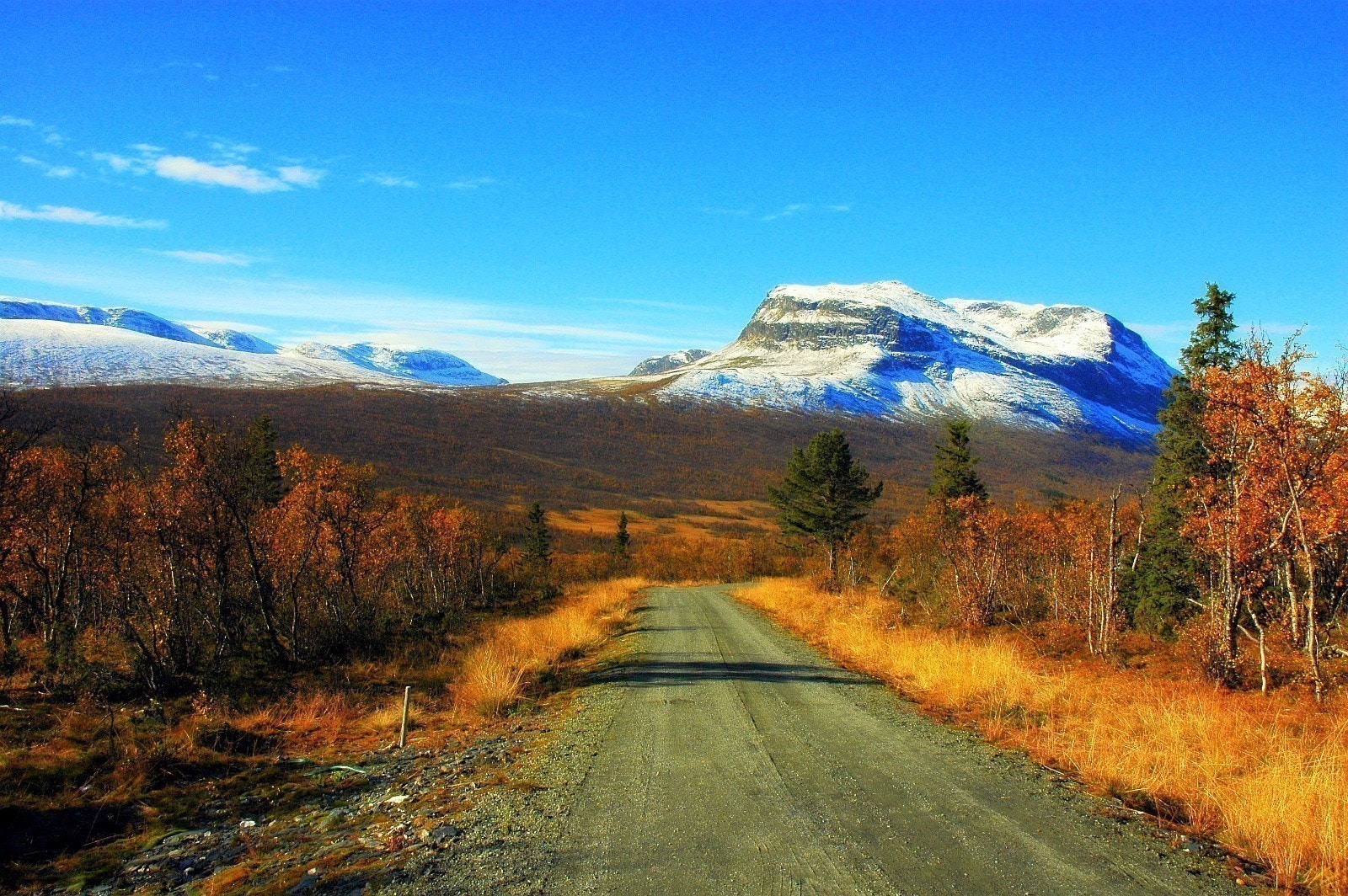 Haugastølen, utsikt Grindafjellet. (Vest) Galleribilde