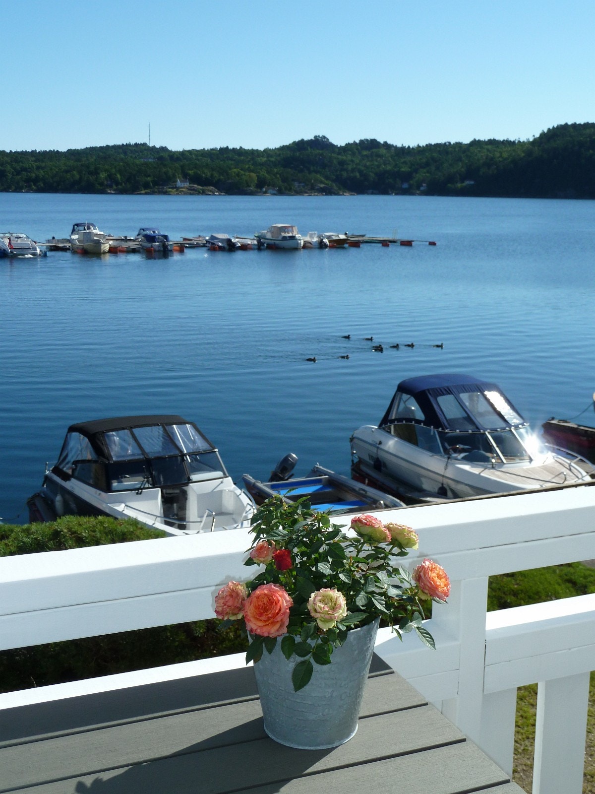 Terrasse mot sjøen/øst Galleribilde