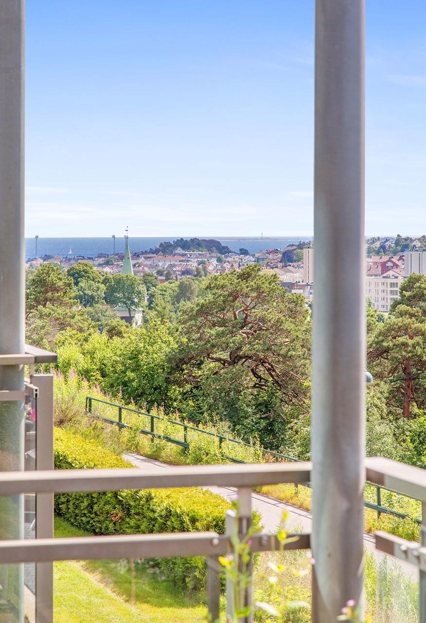 Utsikt fra veranda Galleribilde