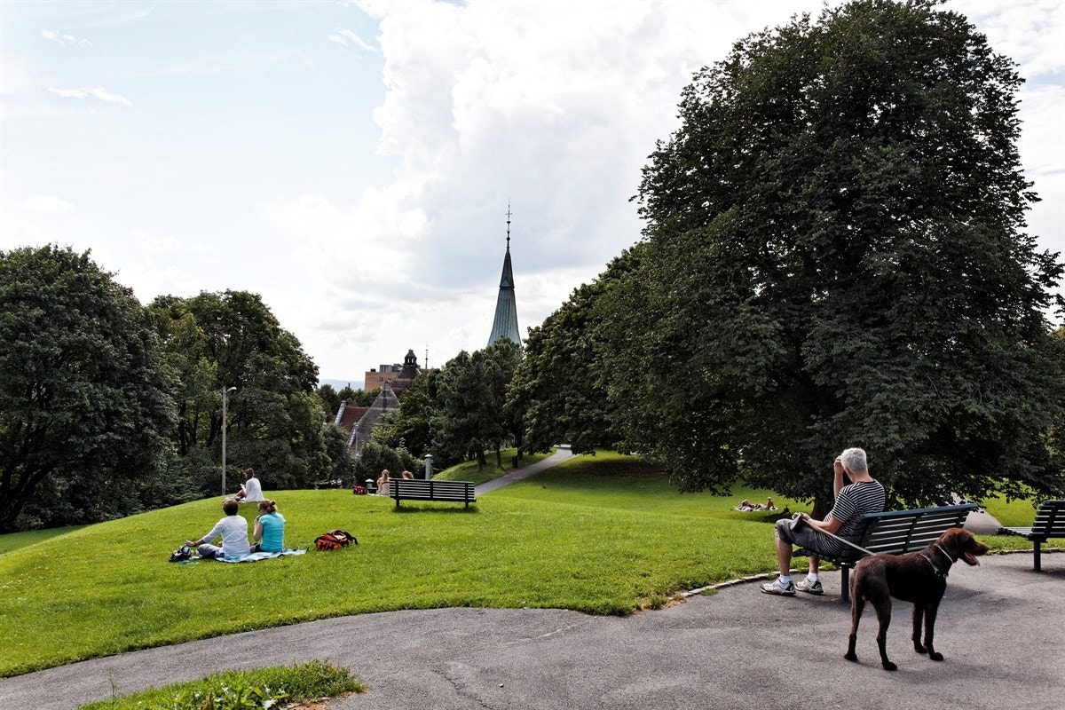 Det er flere flotte parkanlegg i nærheten, som her i Stensparken, som også har uteservering Galleribilde