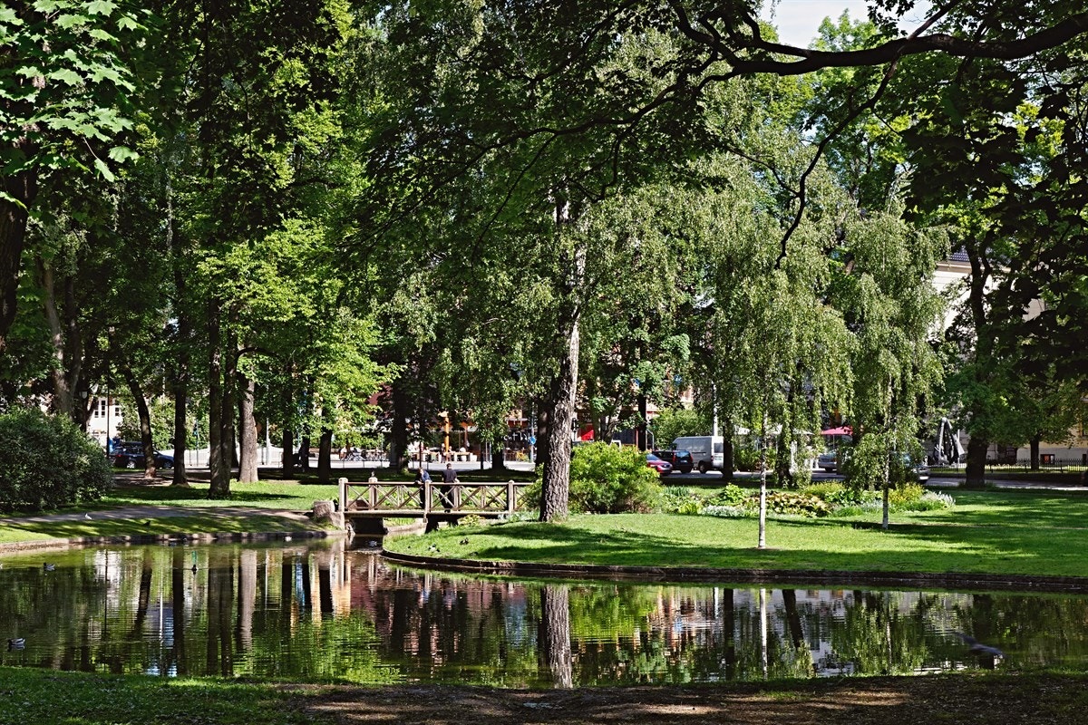 Kongen har den fineste hagen av alle! Galleribilde