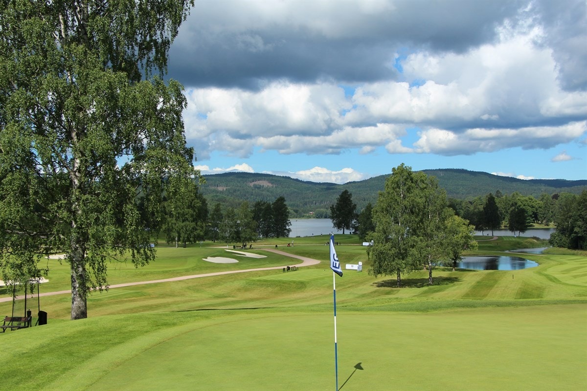 Hole in one? Galleribilde