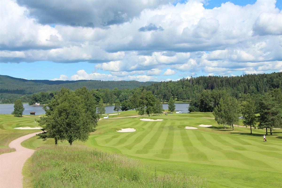 Flott natur! Galleribilde