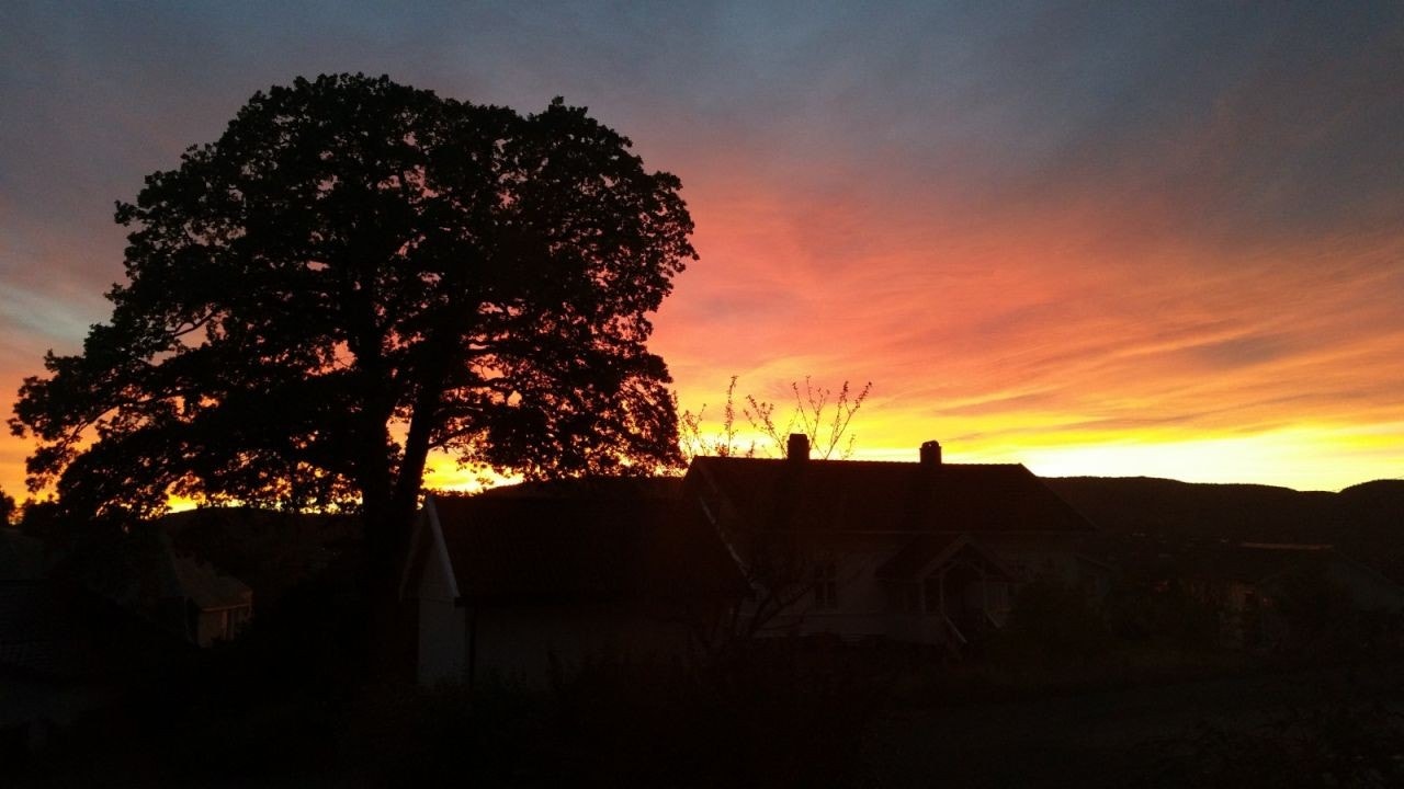 Solnedgang v. Uteplassen Galleribilde
