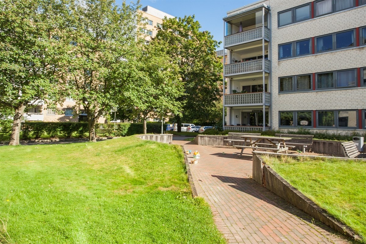 Flott bakgård Galleribilde