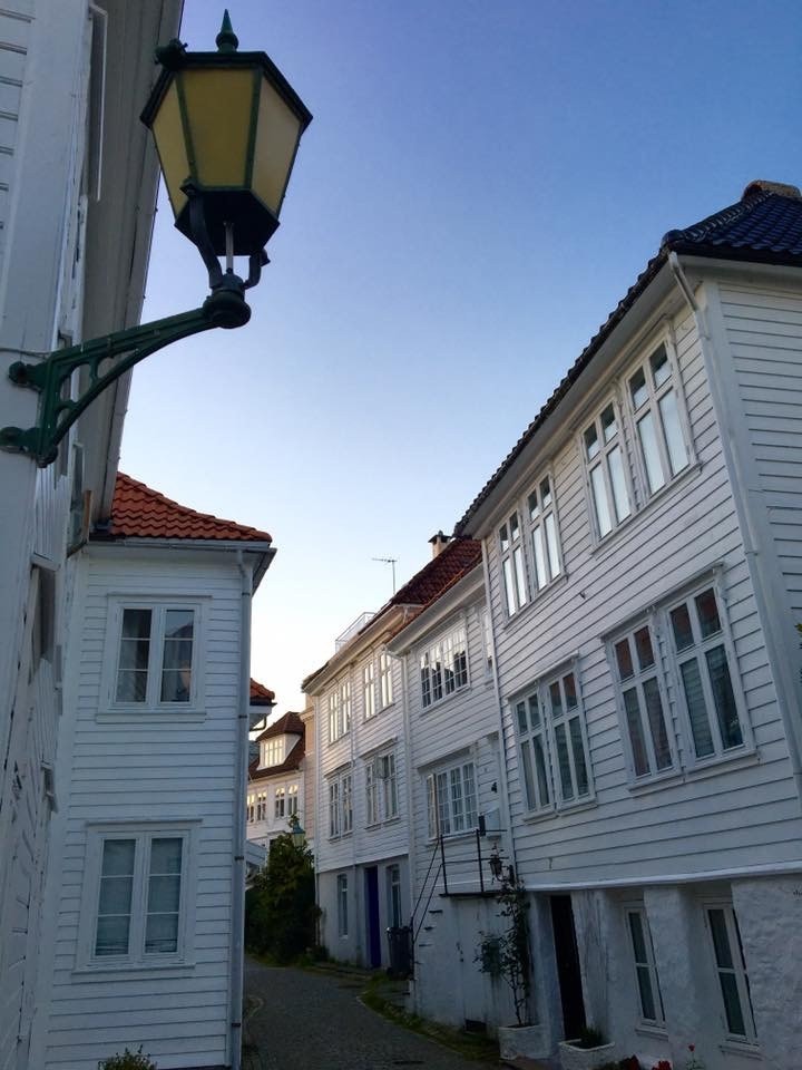 Nedre Blekeveien Galleribilde