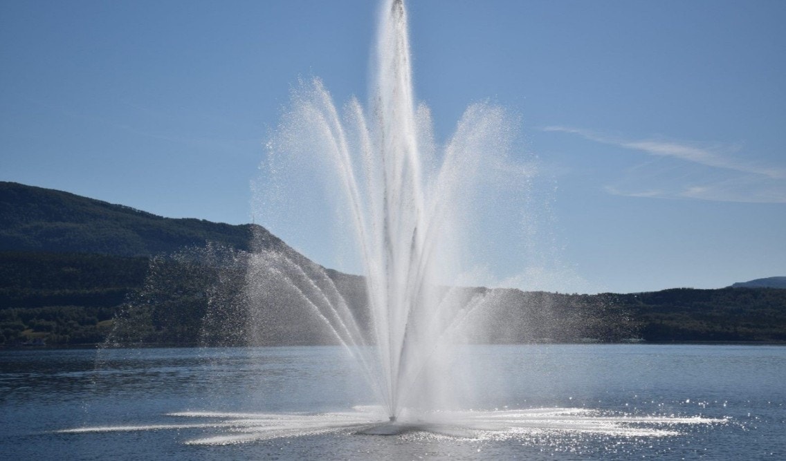 Fauske Galleribilde