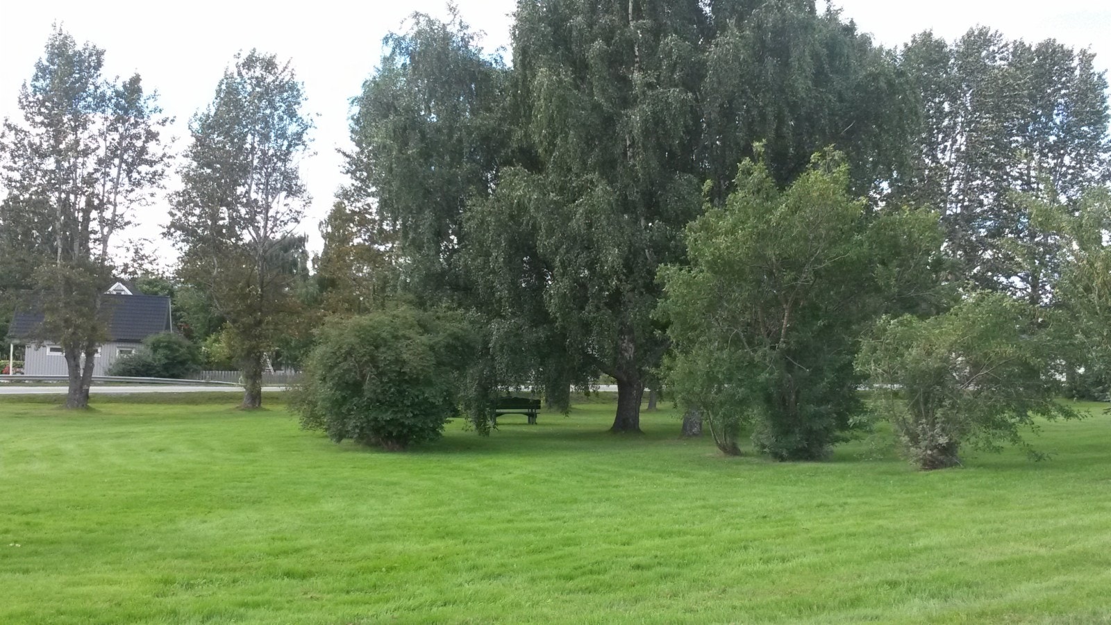 Park rett nedenfor hybel Galleribilde