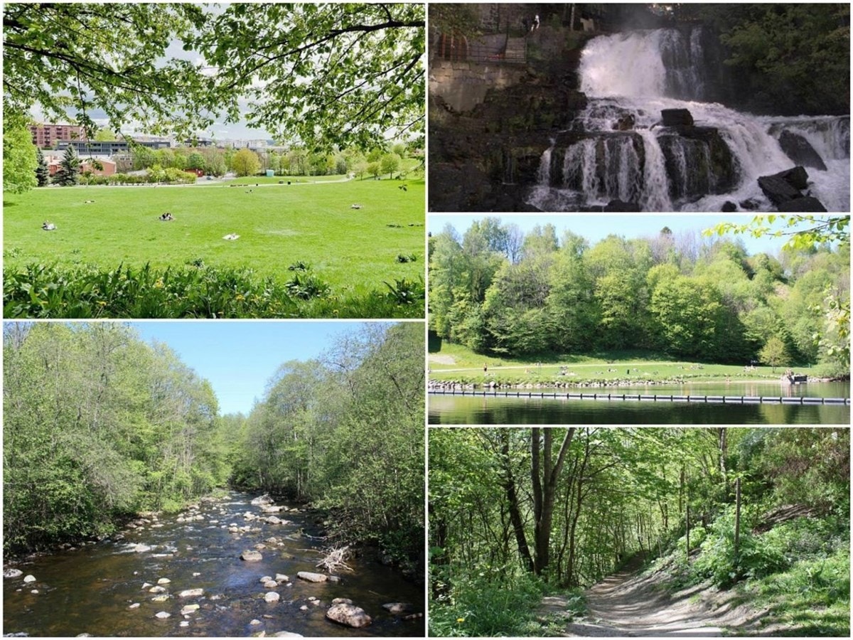 Akerselva med hyggelige turstier er like i nærheten Galleribilde