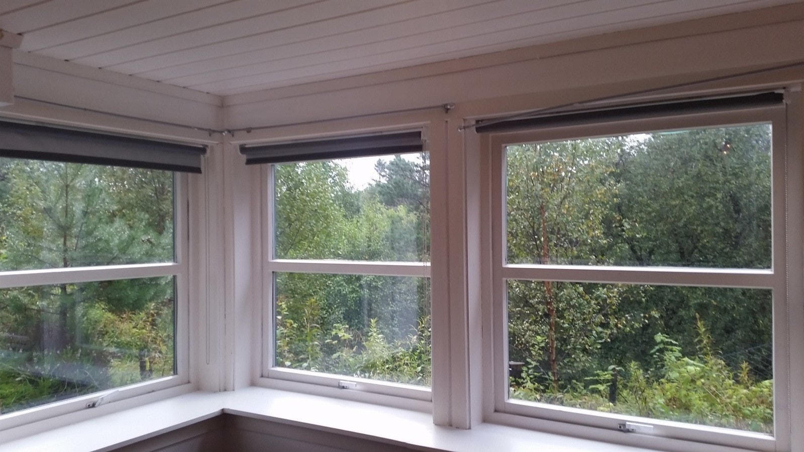 Stille og rolig i enden av blindvei Galleribilde