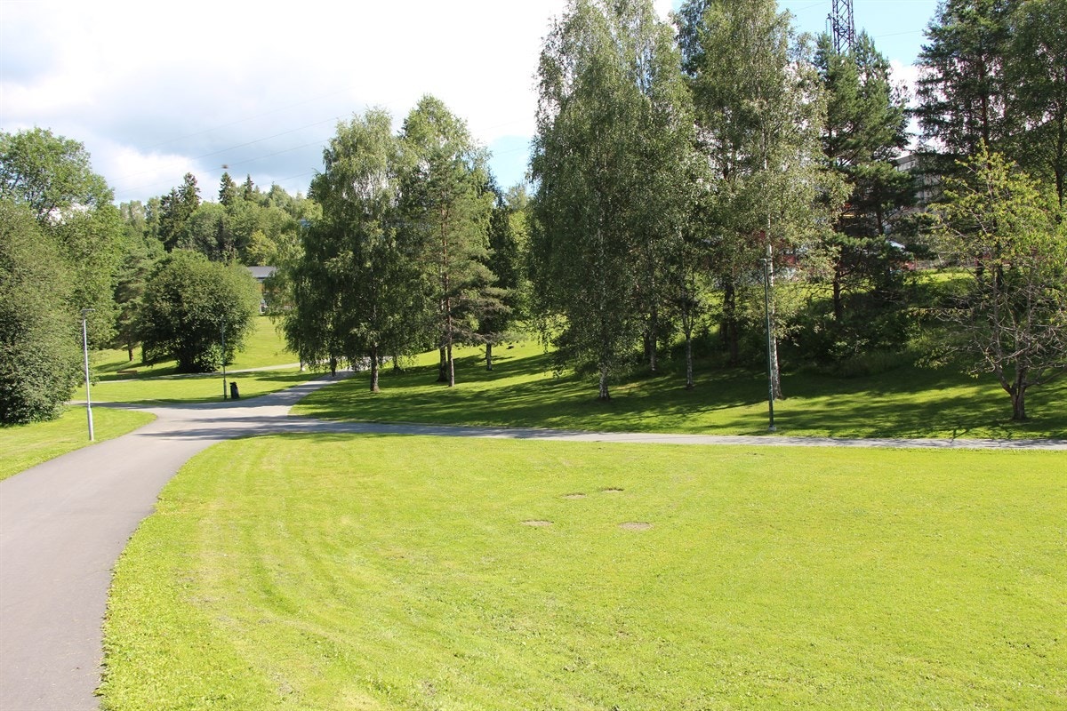 Grøntområde rett utenfor døren. Galleribilde