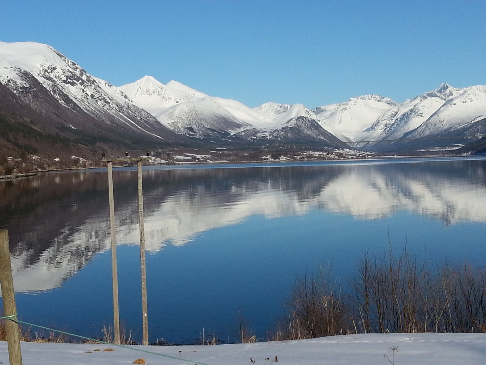 Utsikt mot Isfjorden fra brevikstranda. Galleribilde
