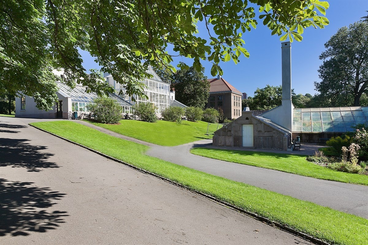 BotaniskHage_018 Galleribilde