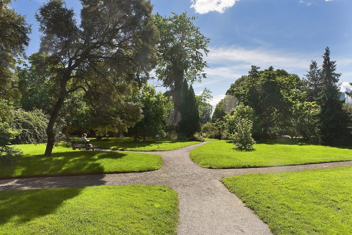 BotaniskHage_019 Galleribilde