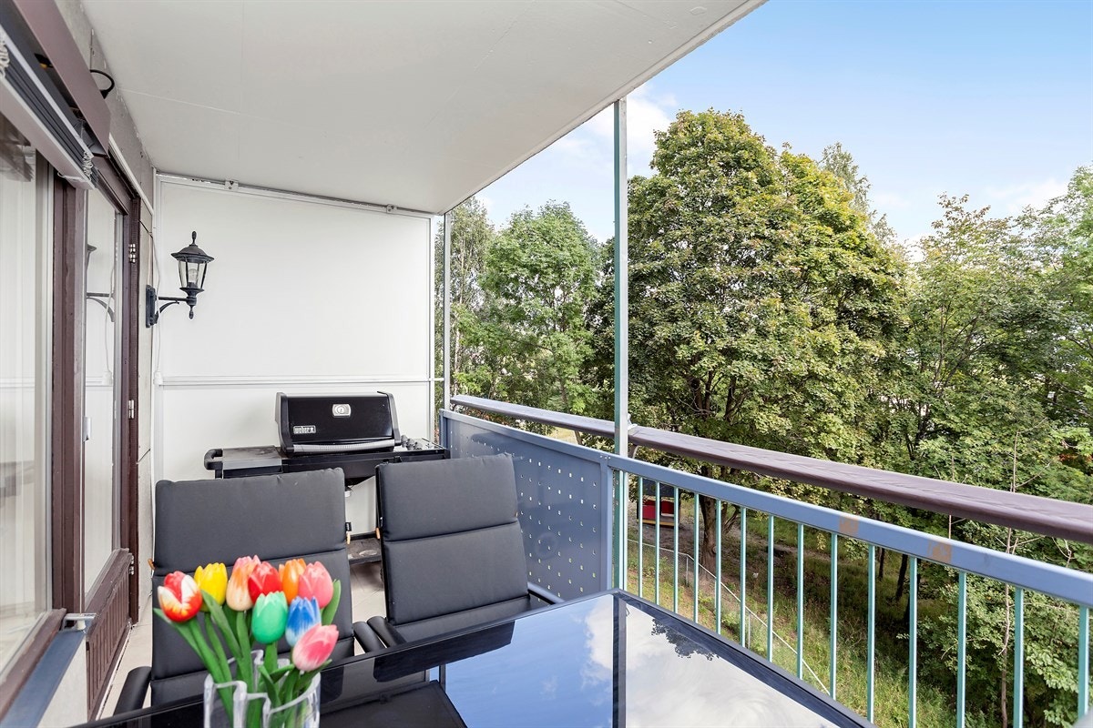 På sommeren har du løvtrær som skjermer for innsyn fra øst. Galleribilde