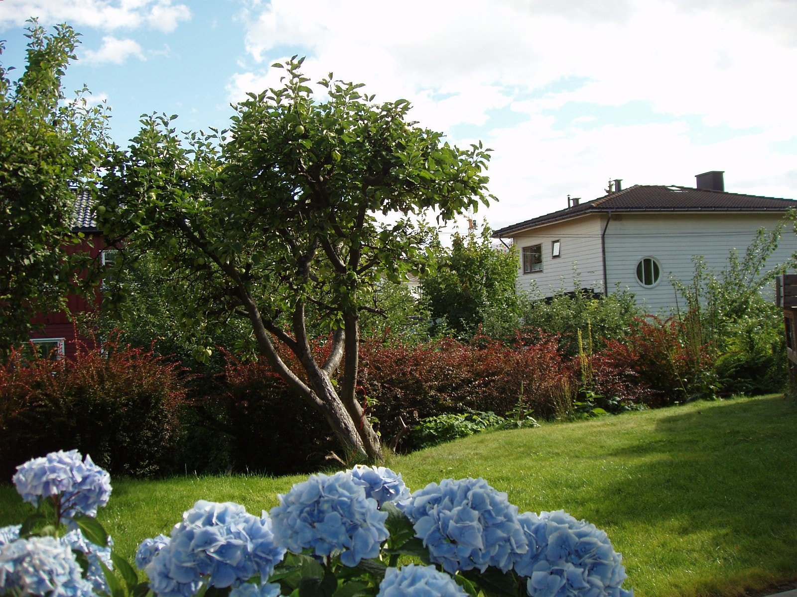 Hage disp. av leietaker Galleribilde