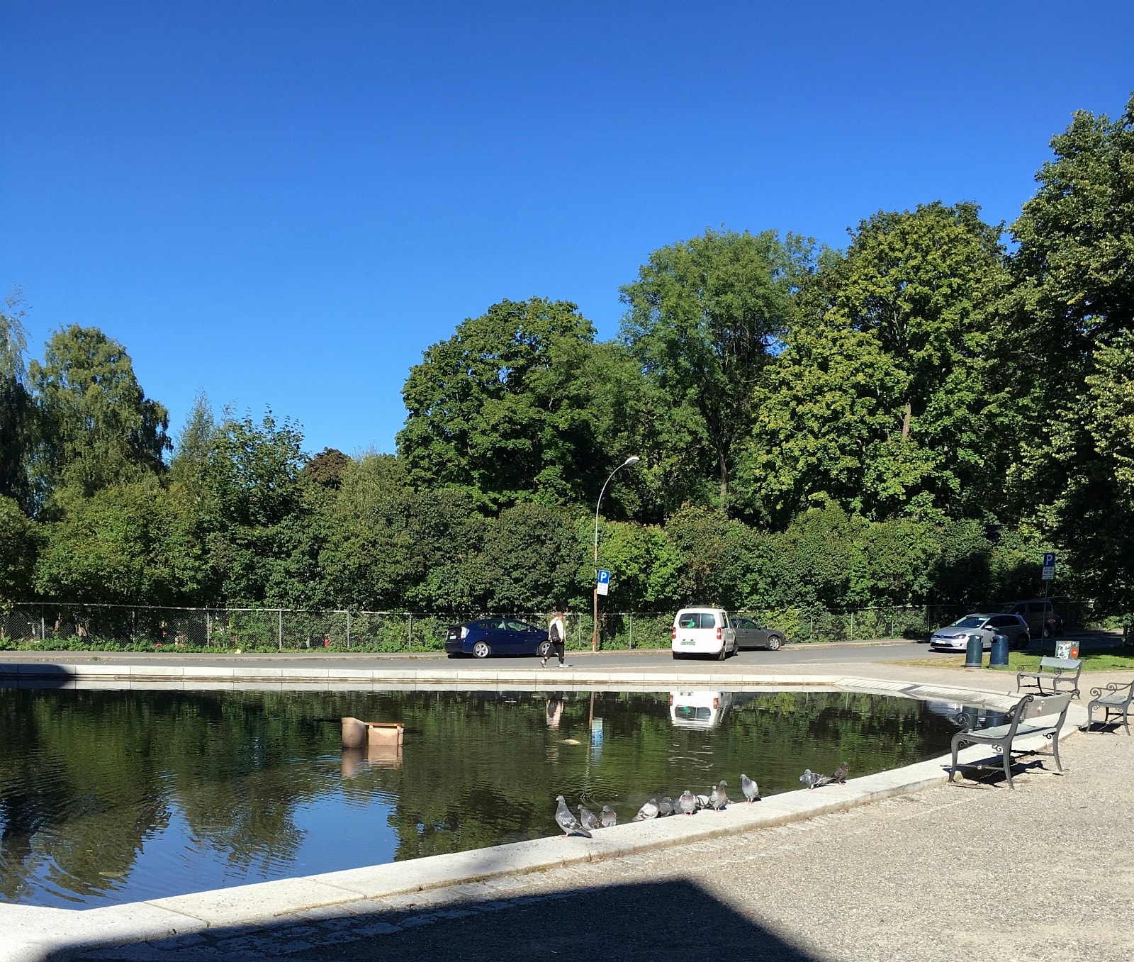 Vannspeilet Galleribilde