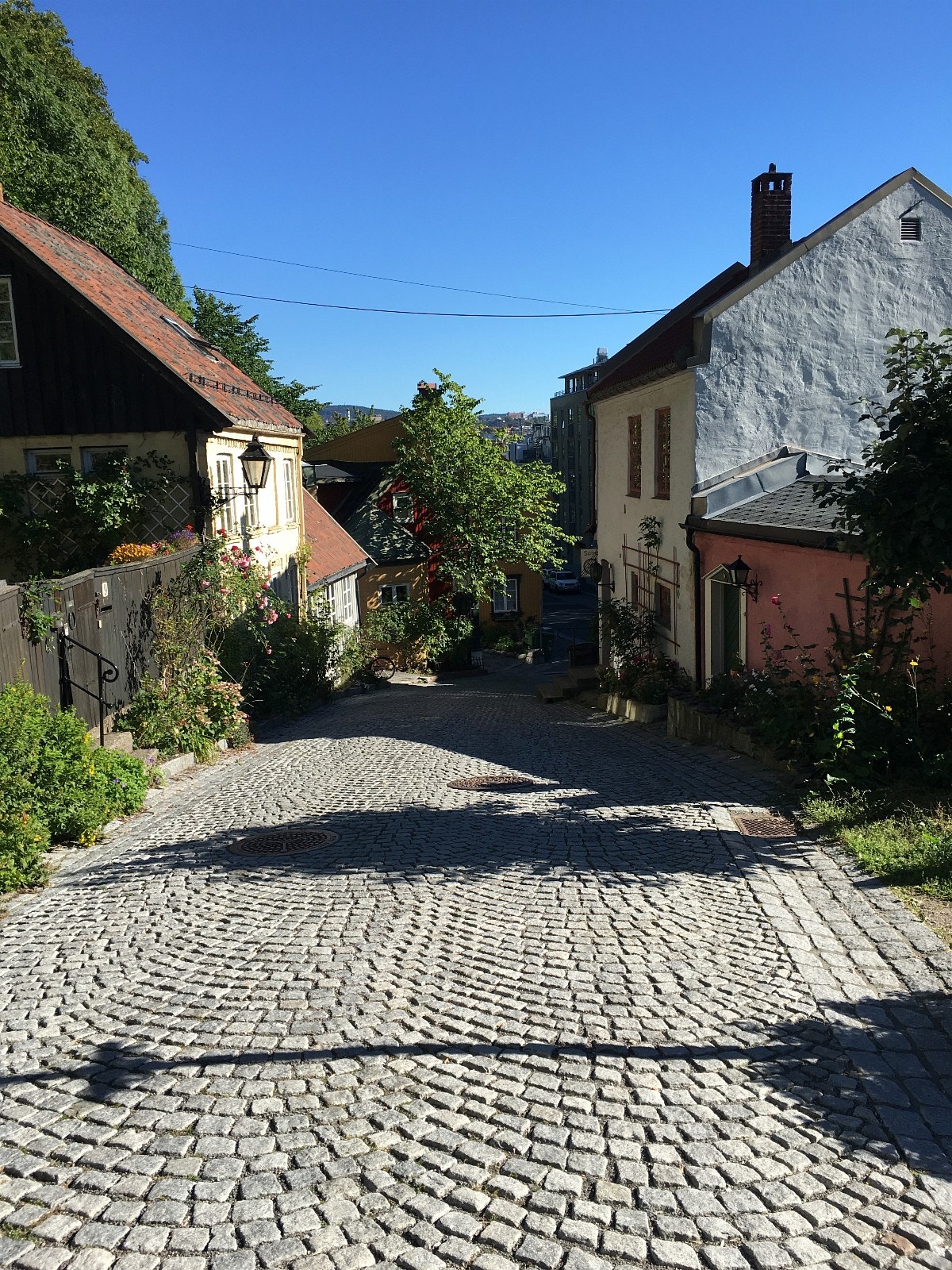 Damstredet Galleribilde