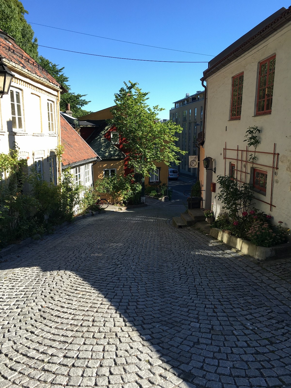 Damstredet Galleribilde