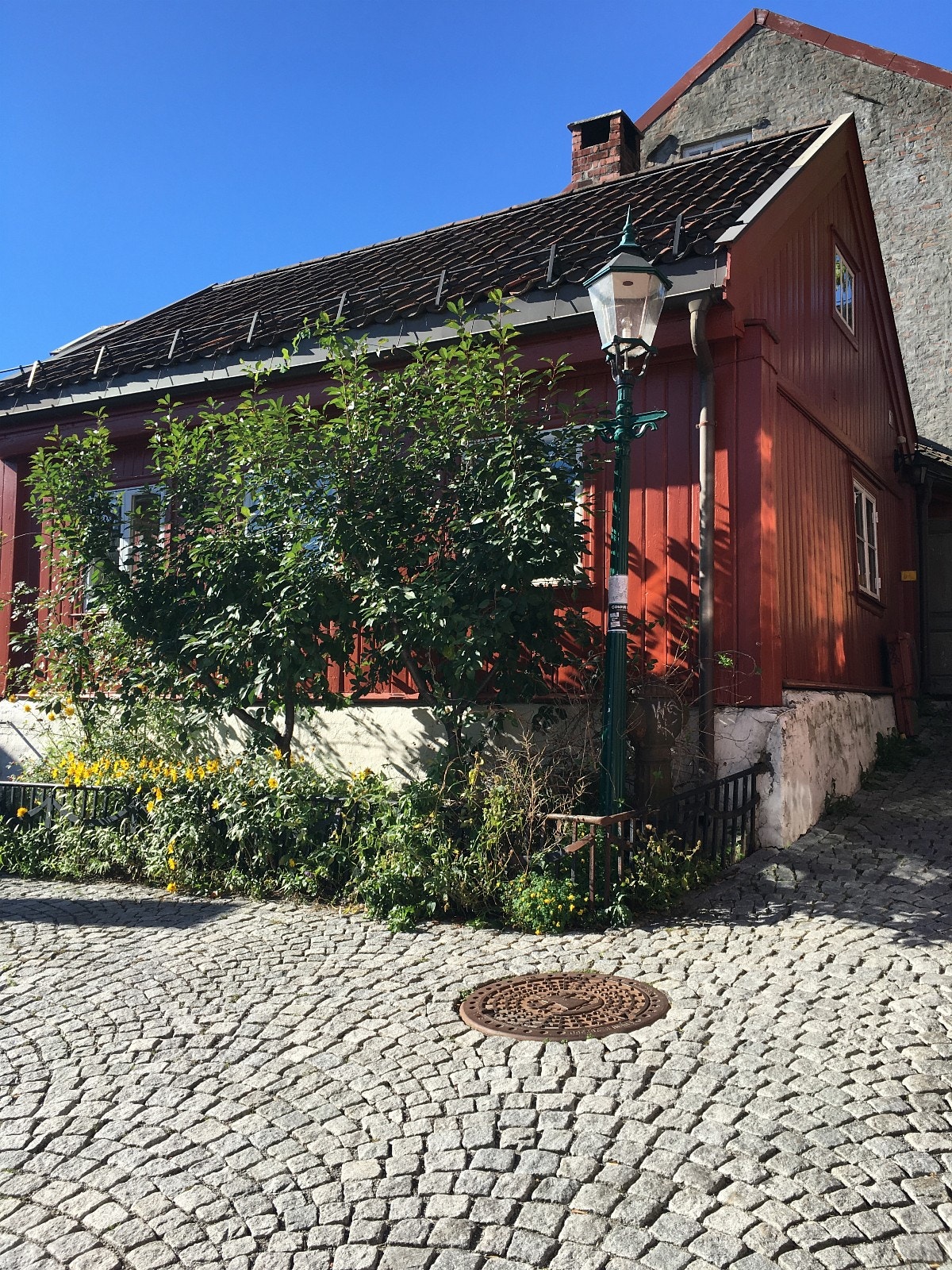 Sommerbilde fra Damstredet Galleribilde