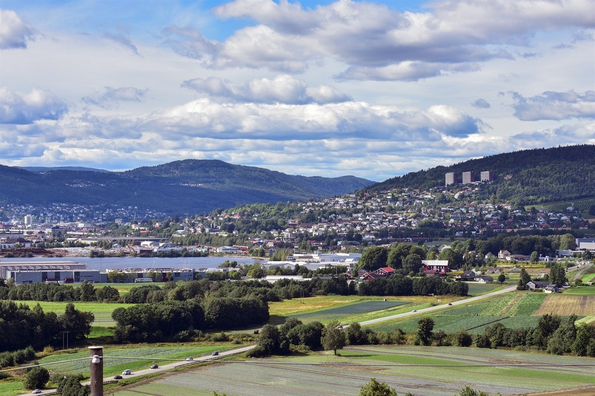Flott utsikt over Drammen. Galleribilde
