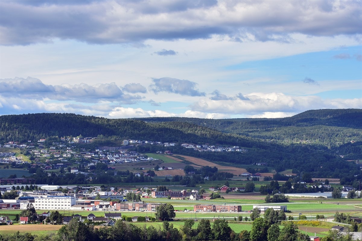 Flott utsikt. Galleribilde