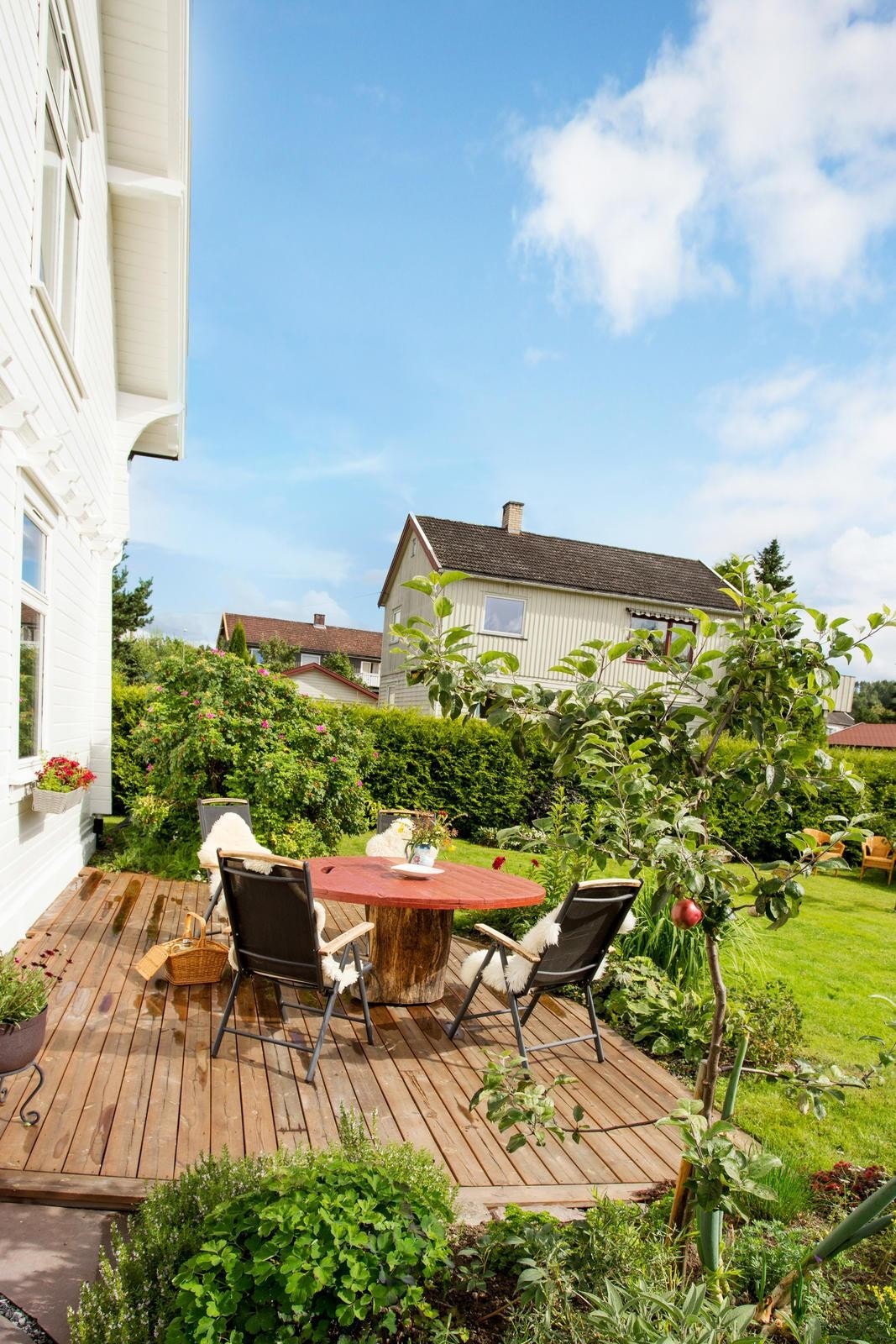 hage (2) Galleribilde