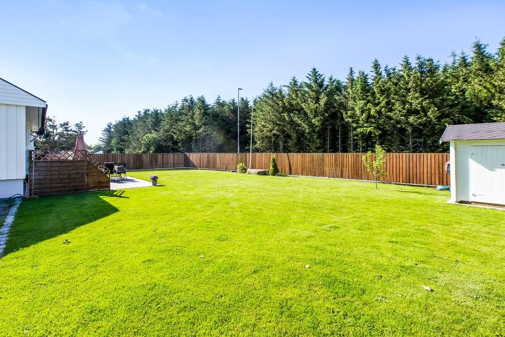 FR 2554 Galleribilde