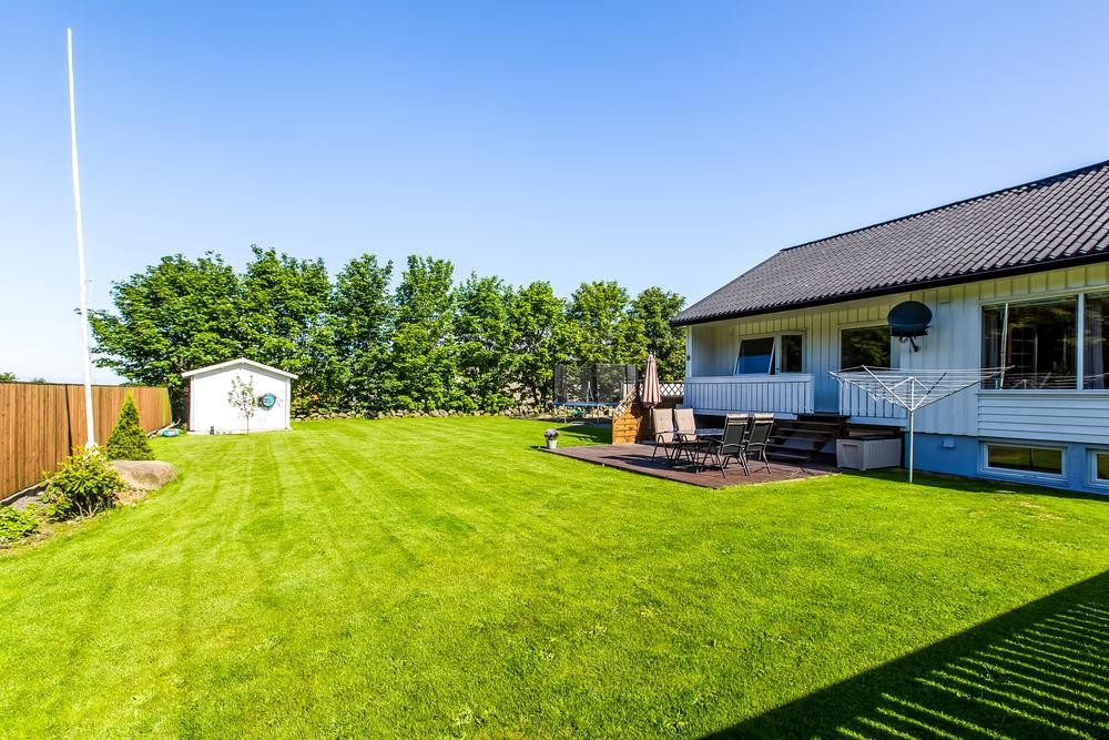 FR 2557 Galleribilde