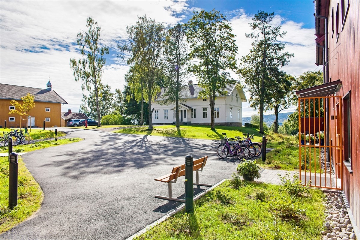 x08uteomrade Galleribilde