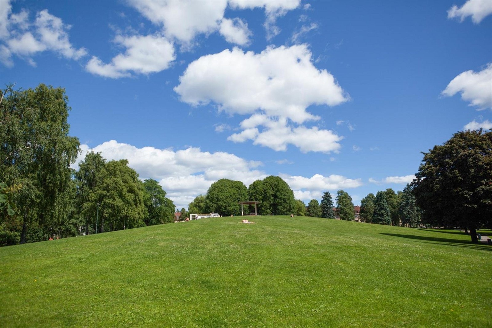 Torshovparken ligger ca. 300m fra boligen. Galleribilde