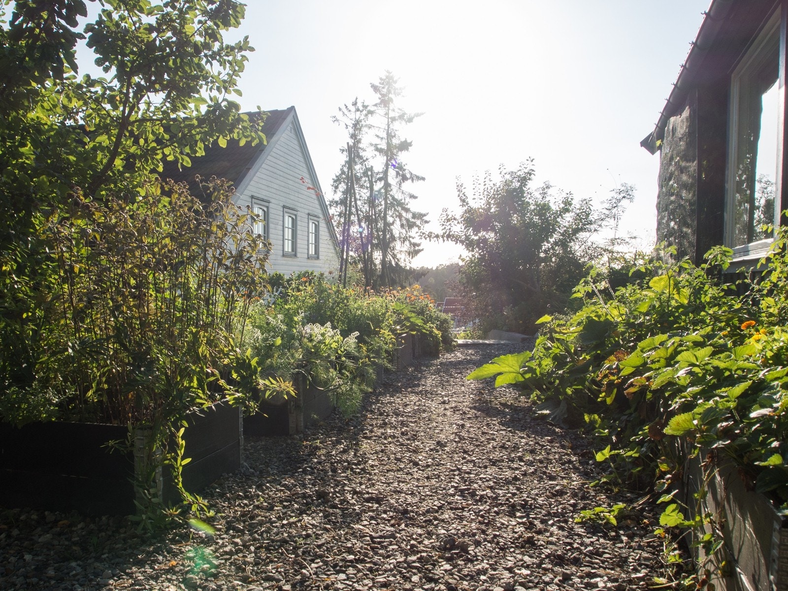 På sydsiden av tomten er det etabler kjøkkenhage i praktiske opphøyde bed Galleribilde