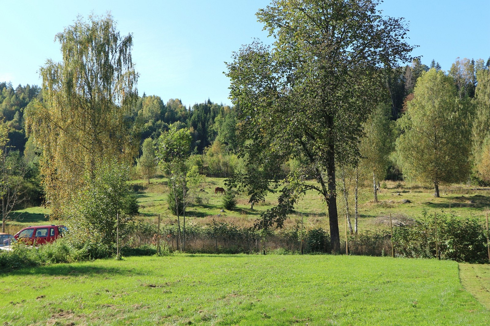 Hestebeite Galleribilde