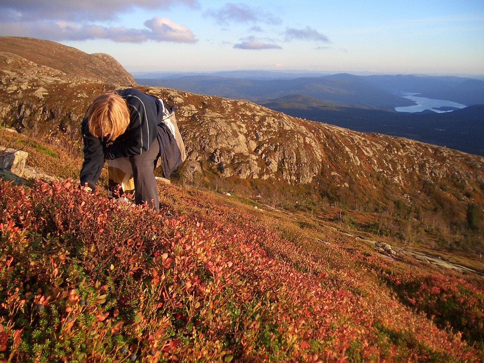 Turområde Galleribilde