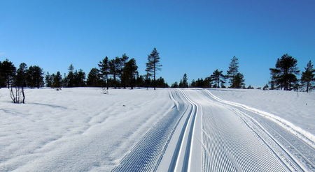 Flotte skiløyper Galleribilde