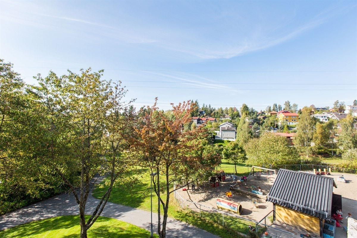 Flott utsikt over nærområdet Galleribilde