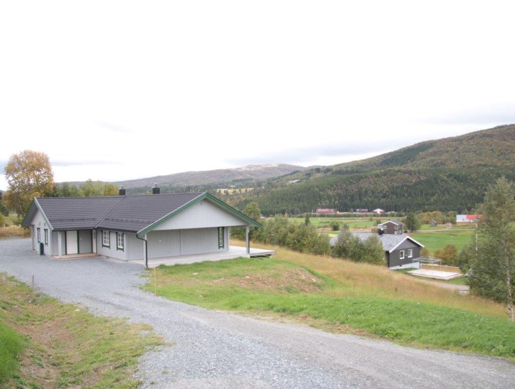 Nedkjøring til boligen Galleribilde