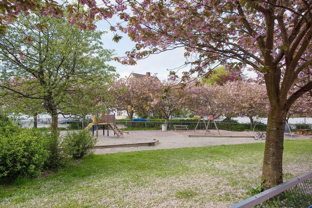 93cf2d7b-b850-4cf8-90d8-19ee760564ce Galleribilde