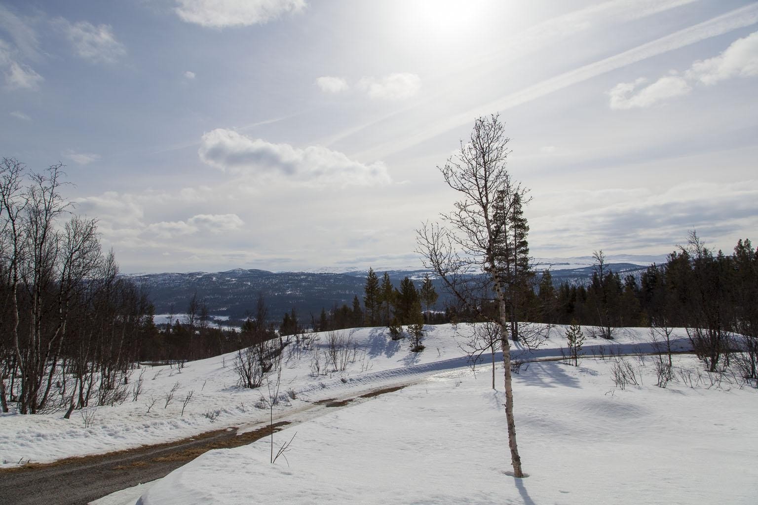 Flott utsikt Galleribilde