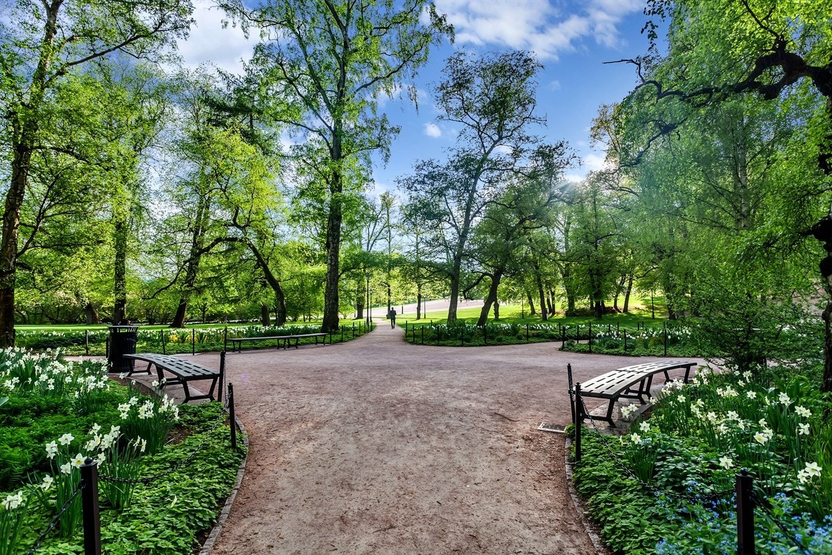 Idylliske Slottsparken Galleribilde